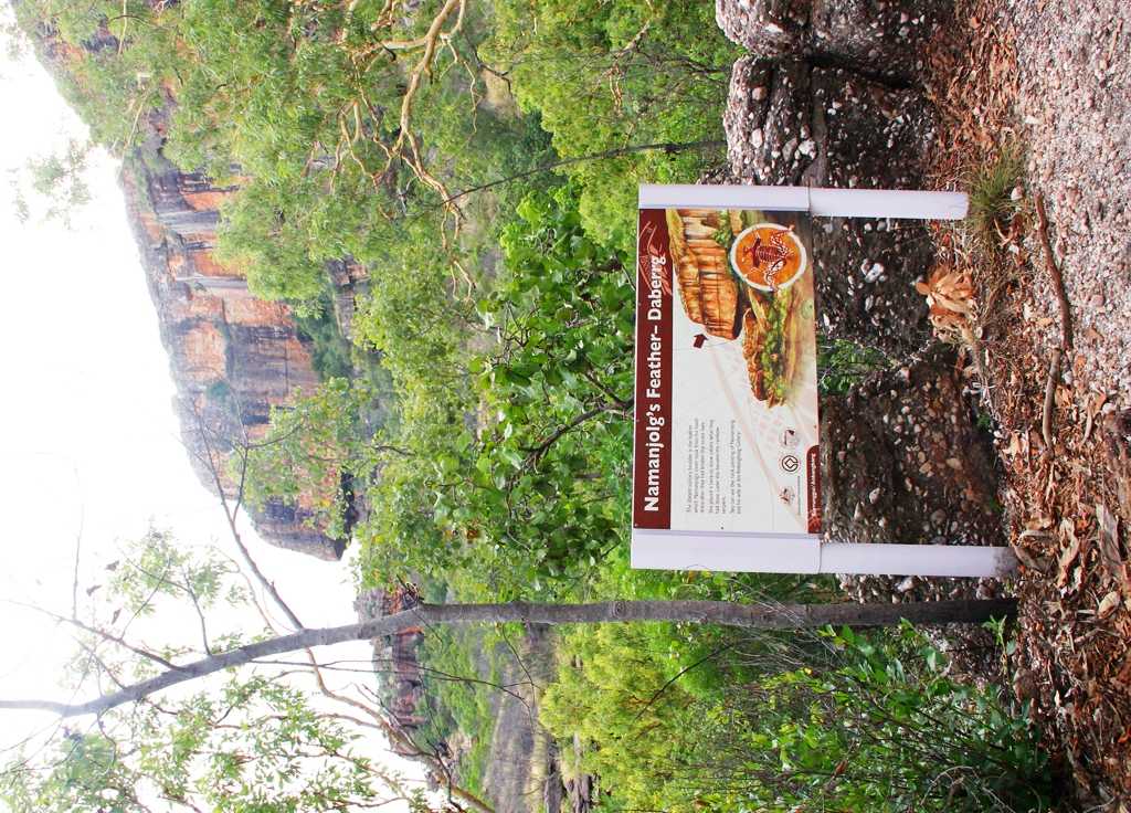 Национальный парк какаду 🌏 достопримечательности австралии