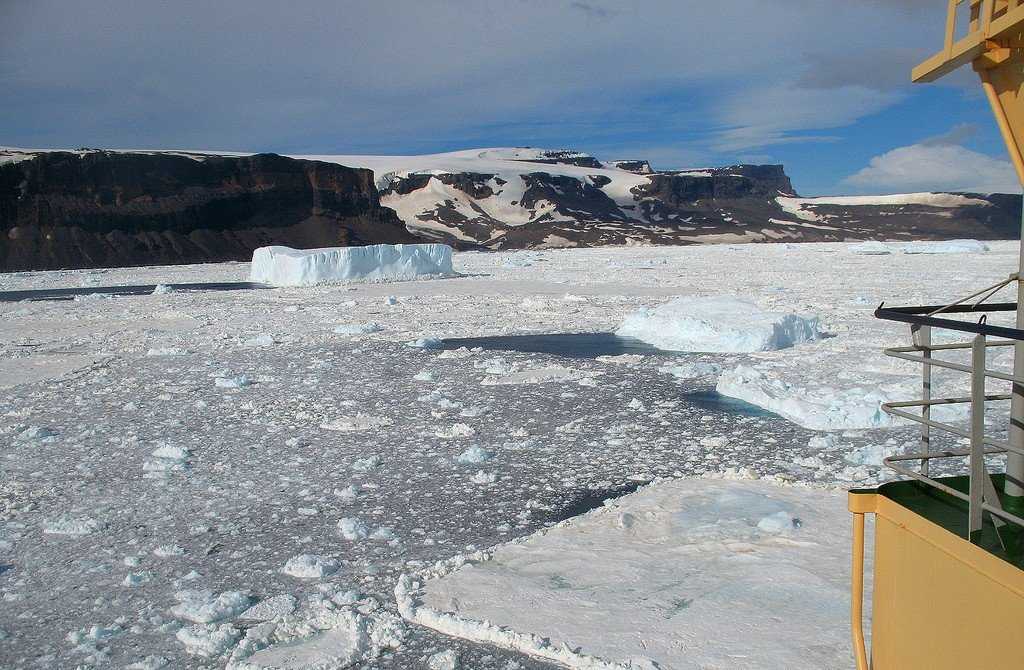 Материк антарктида — факты о самом южном континенте