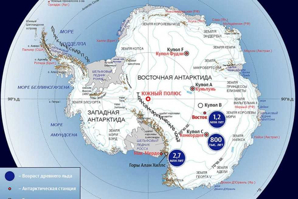 Интересные факты о населении антарктиды: кто живет на самой высокой точке континента | tvercult.ru