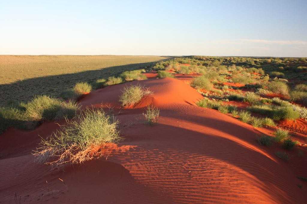 Австралия: природные зоны. пустыни австралии полупустыни австралии
