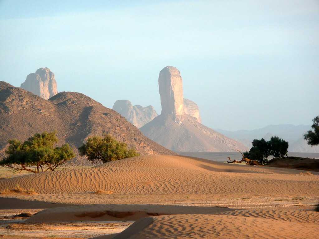 Пустынные ландшафты алжира: оазисы, дюны и ксуры сахары / фотографии / алжир / travel.ru