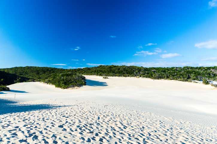 Песчаный остров фрейзер. где расположен остров фрейзер и его история? австралия. развлечения и экскурсии