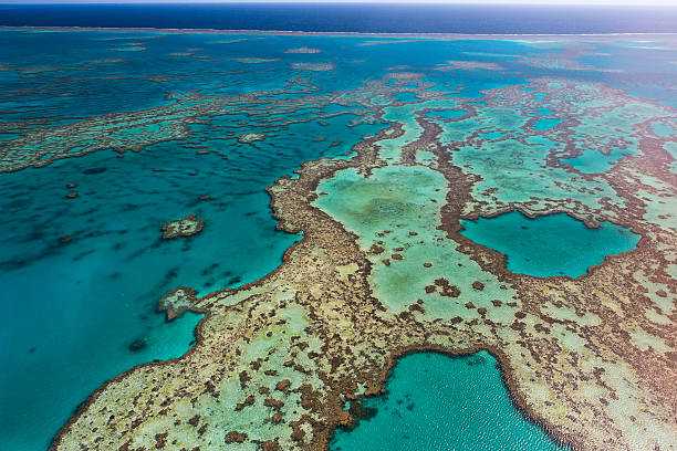 Большой барьерный риф (австралия): фото, описание, история открытия • вся планета