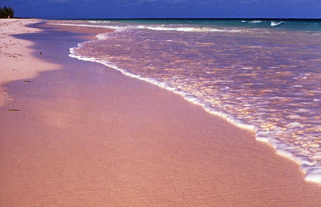 Где розовый песок на пляже