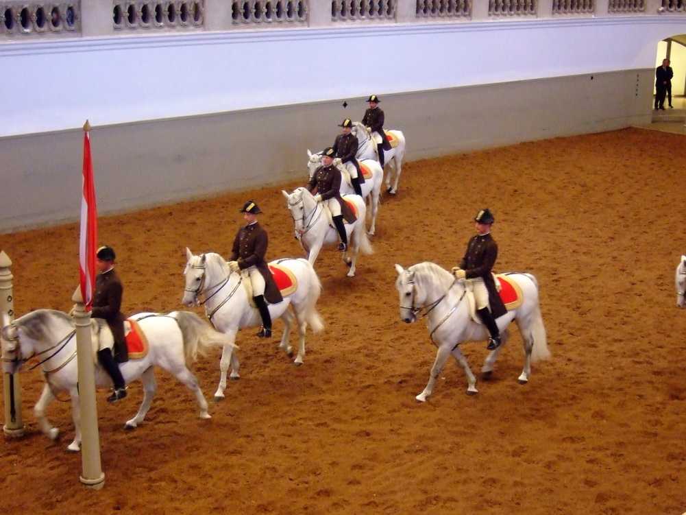Equestrian.ru, конное обозрение / лошади и конный спорт