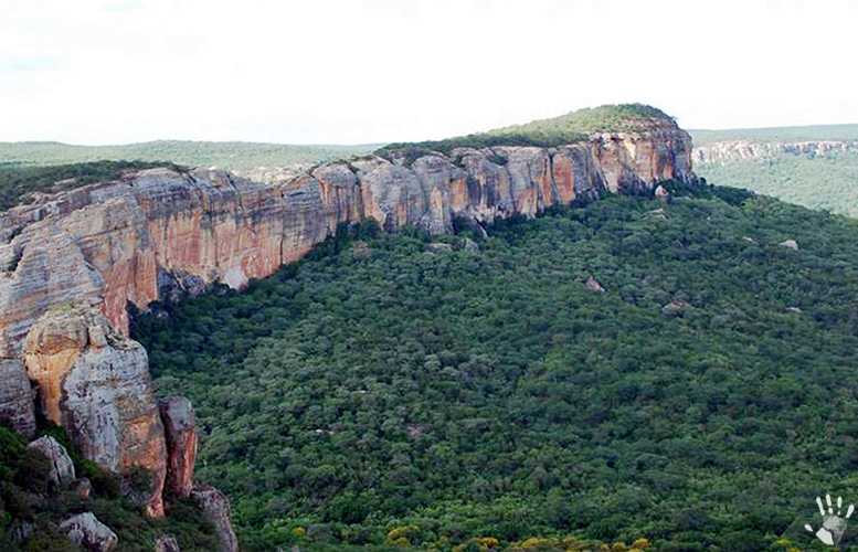 Национальный парк серра да капивара (бразилия)