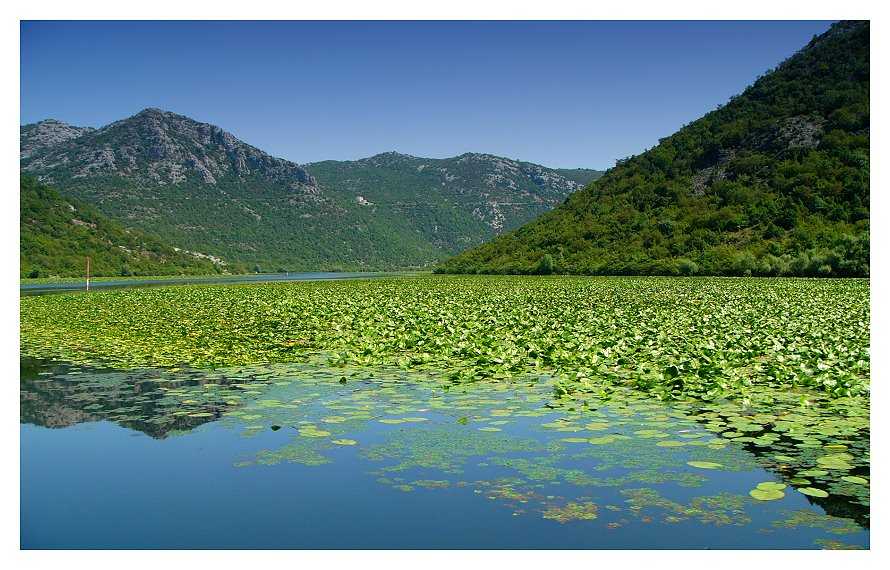 Скадарское озеро, достопримечательности и природа