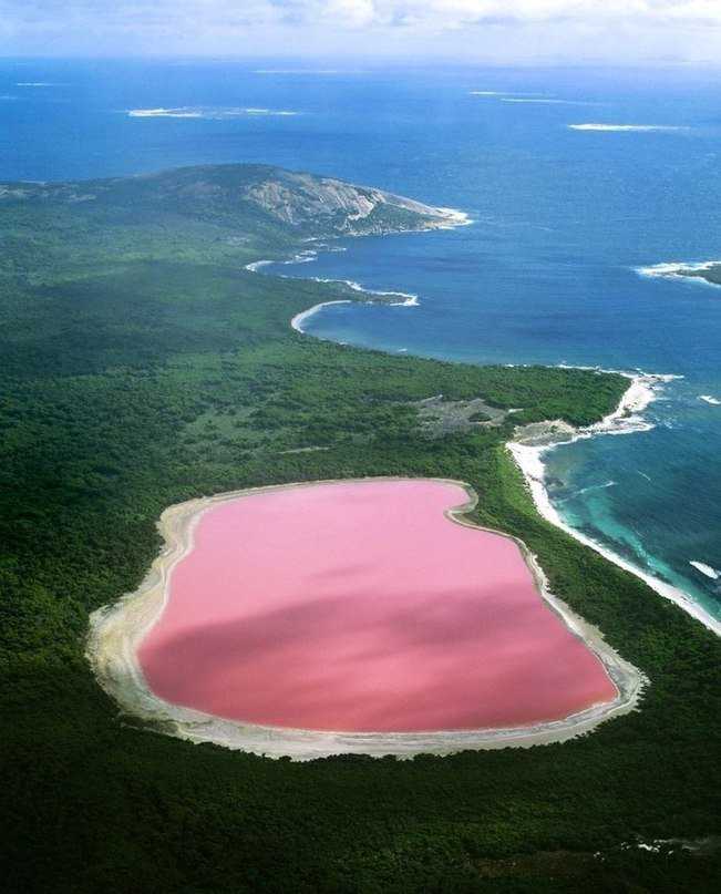 Розовое озеро хиллер в австралии