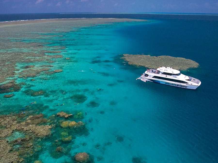 Большой барьерный риф, австралия — отдых, пляжи, отели большого барьерного рифа от «тонкостей туризма»