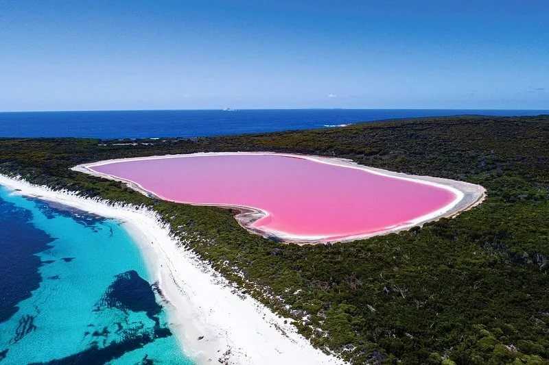 Озеро хиллер на острове миддл: почему вода розовая?