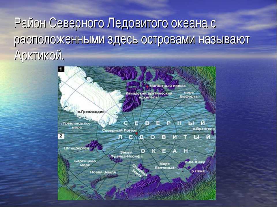 Заливы морей северного ледовитого океана. Острова Северного Ледовитого океана на карте. Граница северно Ледовитый океан проливы. Отрава Северного Ледовитого океана. Моря Северного Ледовитого океана на карте.