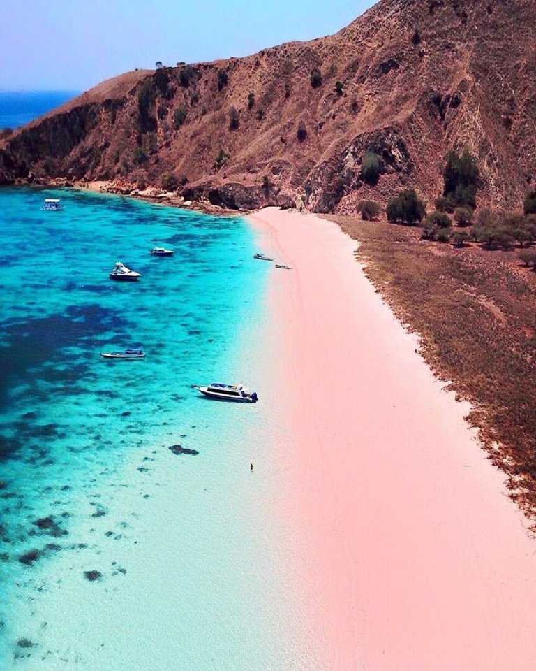 Розовый песок и плавание со свинками: самые примечательные пляжи на багамах