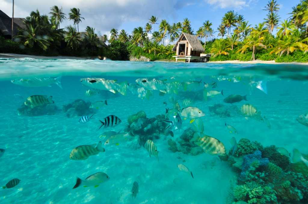 Остров лонг айленд — самый живописный остров на багамах