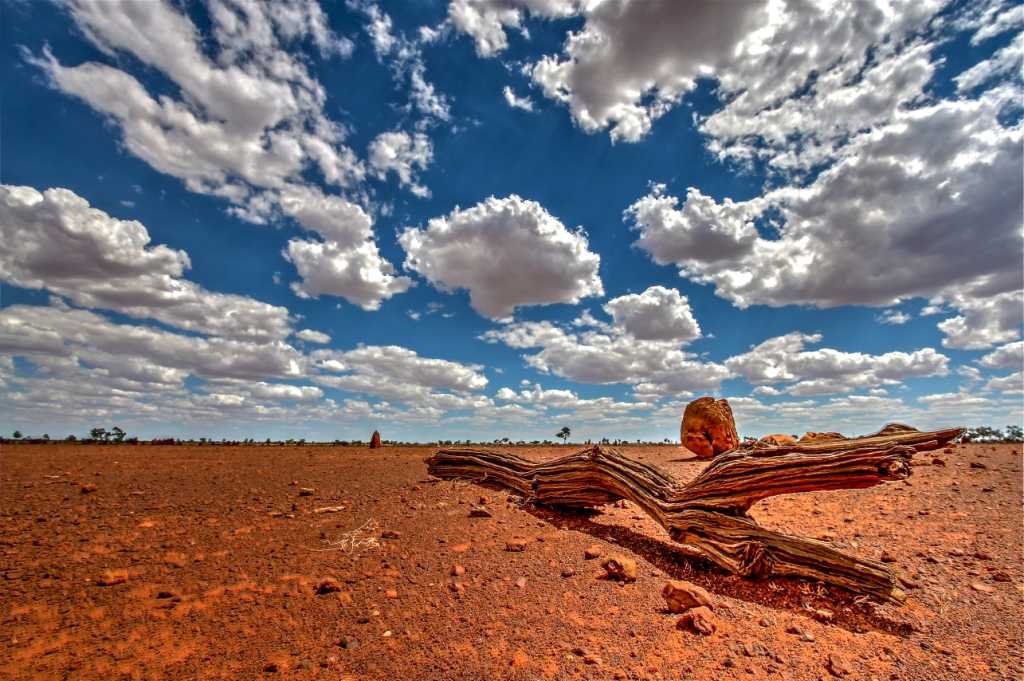 Пустыня симпсона, австралия — обзор