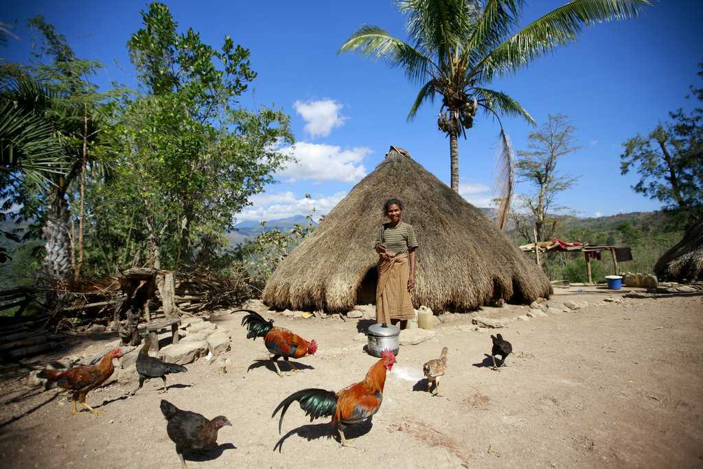 Восточный тимор - рейтинг достопримечательностей и красивых мест