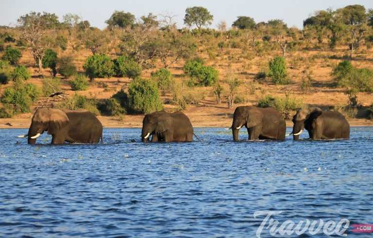 Список национальных парков ботсваны - вики