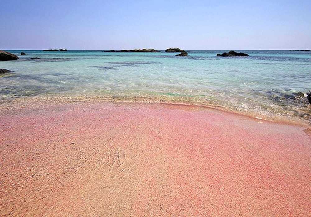 Розовый песок и плавание со свинками: самые примечательные пляжи на багамах