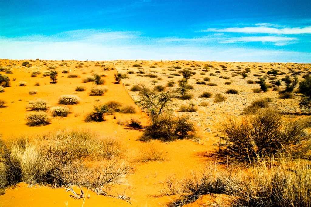 Пустыня калахари – обязательная часть тура по юар. - webmandry.com