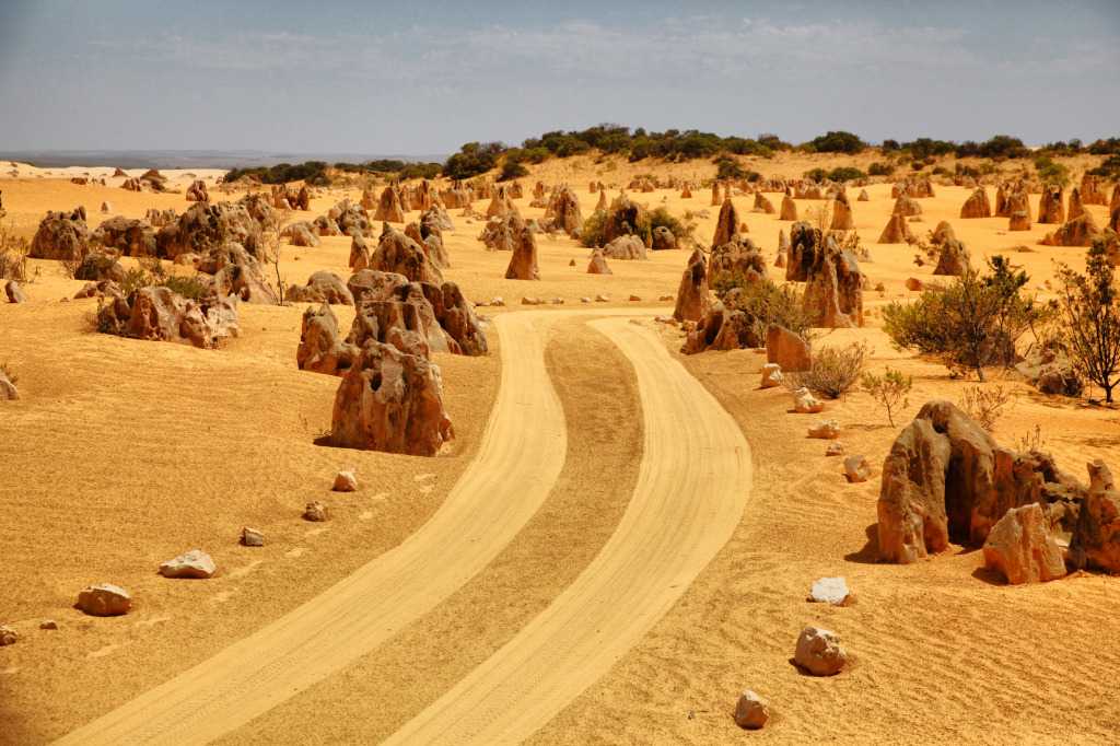 Австралийская большая песчаная пустыня - расположение, площадь, климат, рельеф, флора и фауна — природа мира