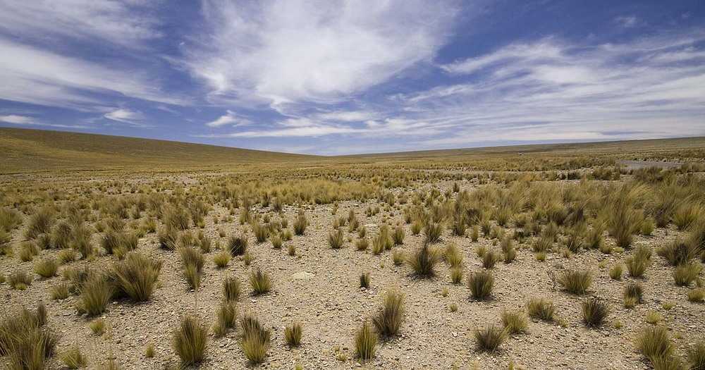 Тарука пампа, аргентина - подробная информация о климате и прогноз погоды на месяц | weather atlas