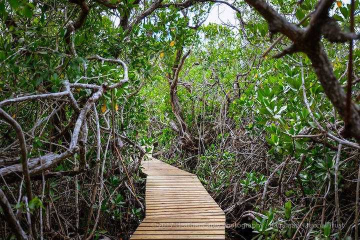 Фото Национального парка Лукайян на Багамах. Большая галерея качественных и красивых фотографий Национального парка Лукайян, которые Вы можете смотреть на нашем сайте...