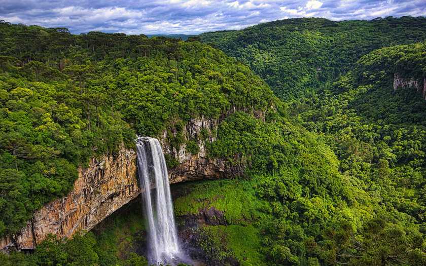 Национальный парк итатиая (бразилия) | hasta pronto