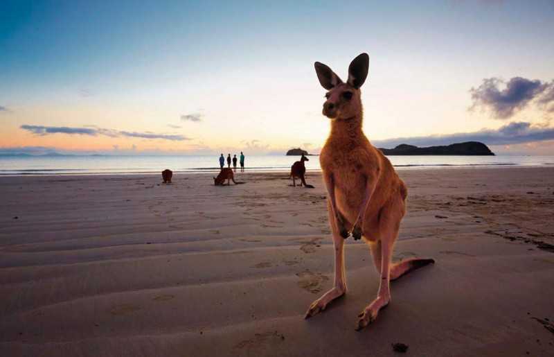 13 самых красивых островов австралии