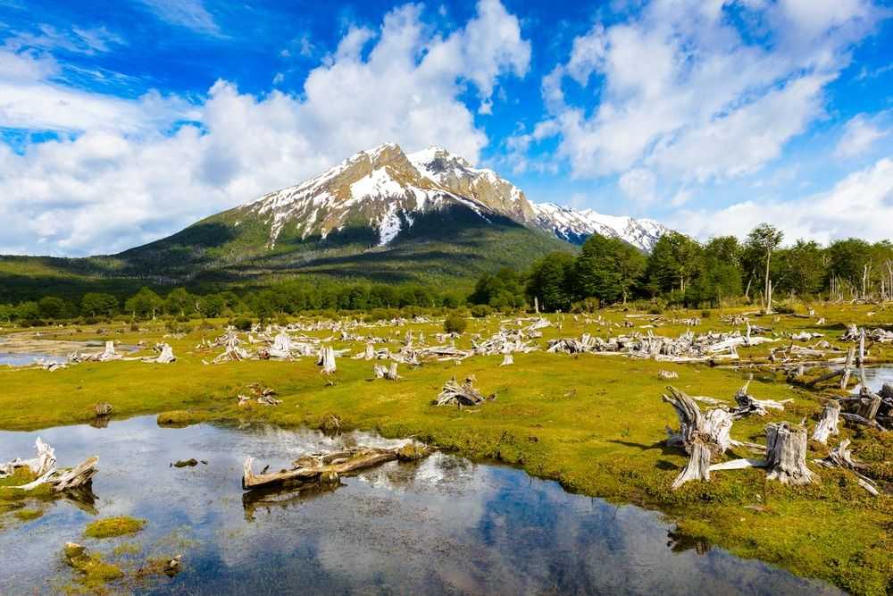 Провинциальный парк исчигуаласто - ischigualasto provincial park