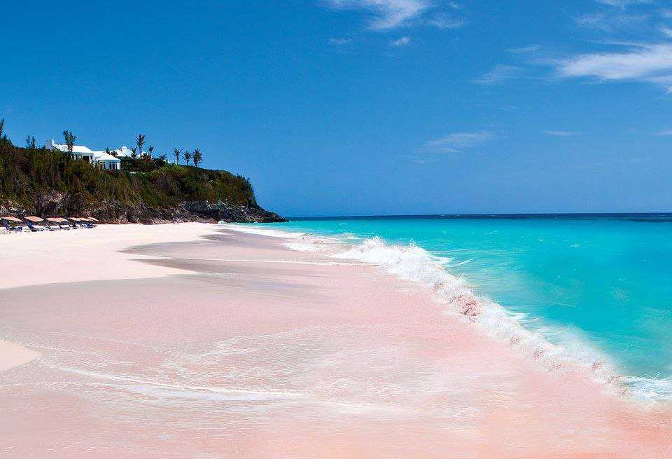 Розовый пляж багамы: отдых на острове харбор | | на всякий случай