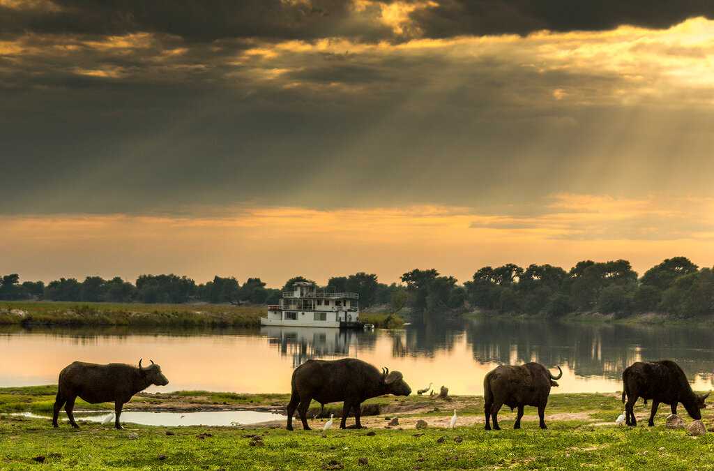Национальный парк Чобе — старейший национальный парк на территории Ботсваны и третий по величине в этой стране. Он занимает площадь в 10 566 км². Чобе был основан в 1967 году, хотя первая охраняемая территория, пусть и существенно меньшая по размерам, был