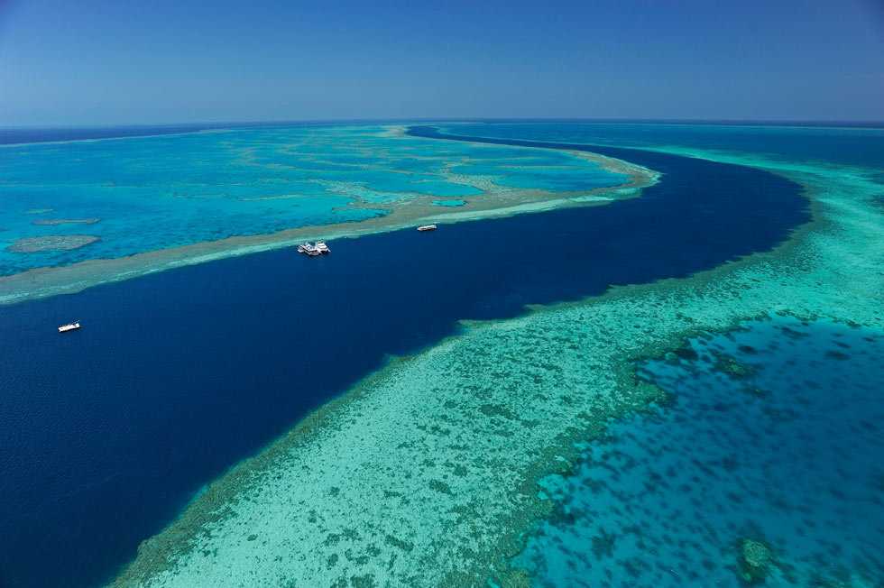 Большой барьерный риф, австралия (история, фото)