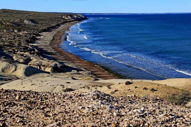 Пунта Томбо — заповедник, находящийся в Аргентинской Патагонии, на побережье одноименной бухты Этот трехкилометровый пляж, покрытый песком и гравием, стал ежегодным пристанищем для миллионов магеллановых пингвинов