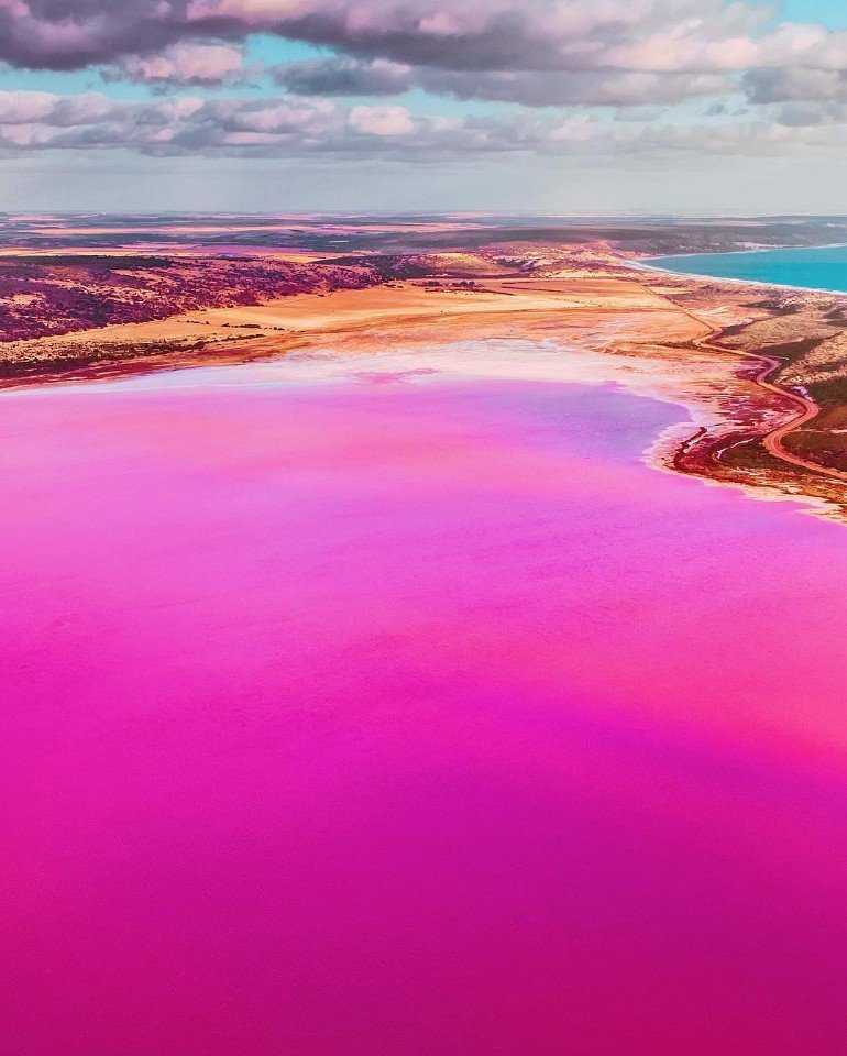 Розовое озеро хиллер в австралии. почему оно розовое?