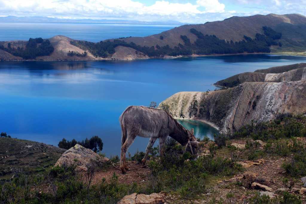 Перу. озеро титикака