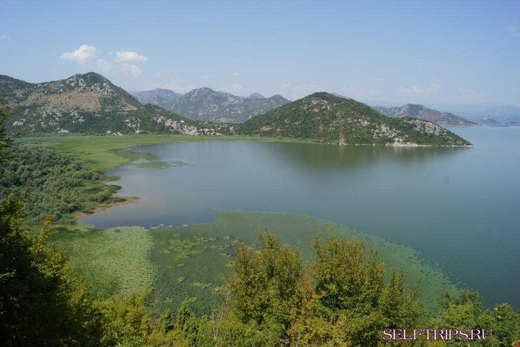 Скадарское озеро - черногория | описание и как добраться