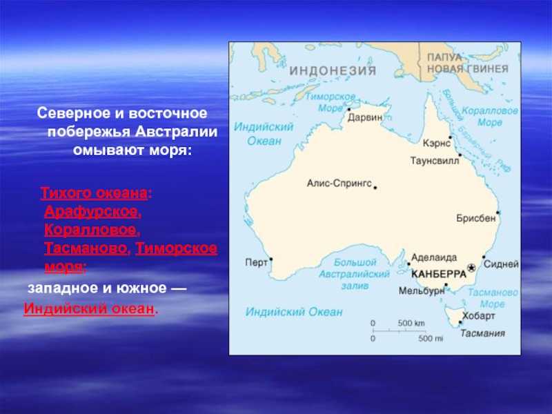 Тасманово море на карте, характеристика, флора и фауна