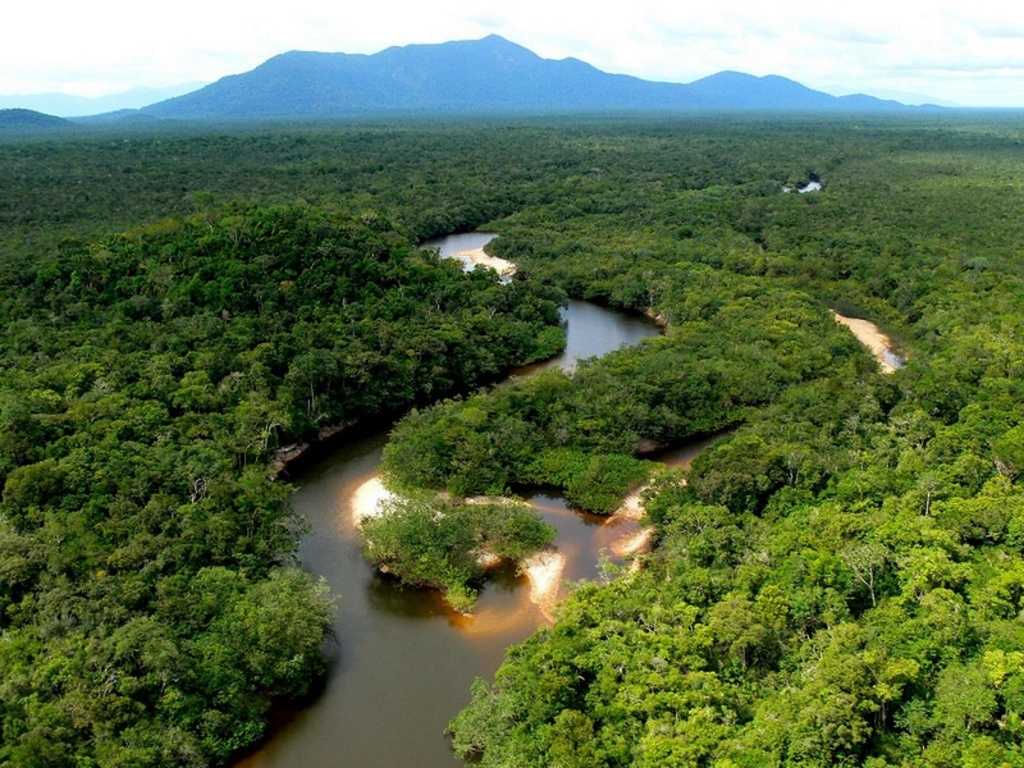 Бассейн амазонки представляет собой огромную низину, покрытую дождевыми джунглями, занимающими практически весь север Южной Америки.