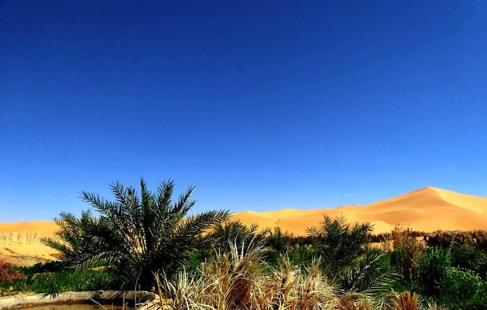 Пустыни Алжира: Сахара, Большой Западный Эрг