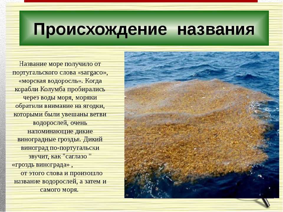 20 самых красивых морей планеты (50 фото) | krasota.ru