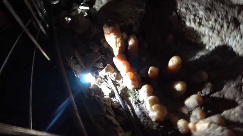 Новоафонская пещера, абхазия: почему стоит посетить