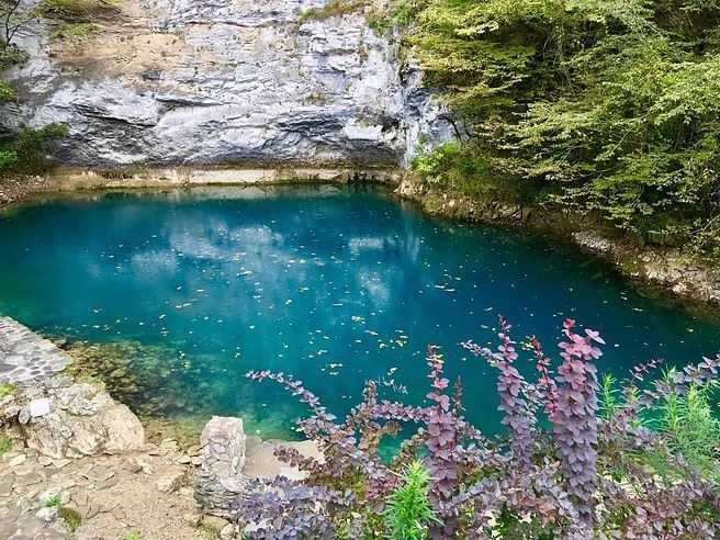 Озеро инкит в пицунде: легенда, фото цапель 🐦 и природы вокруг - эко абхазия