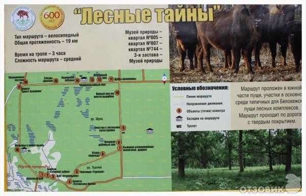 Беловежская пуща — национальный парк республики беларусь