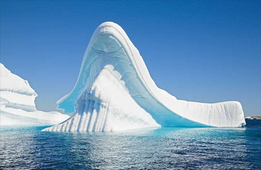 Факты об антарктиде: 20 невероятных вещей, которых вы не знали