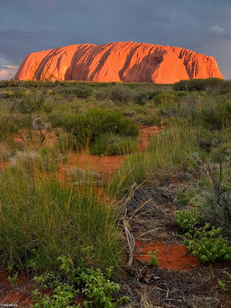 Знаменитая гора улуру в австралии