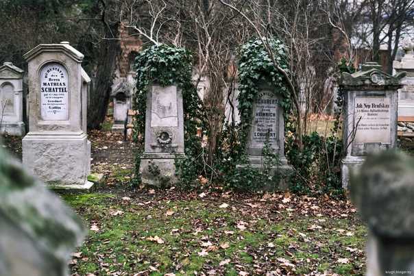 Wikizero - кладбище святого марка