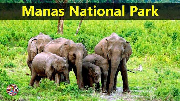 Национальный парк манас (manas national park)