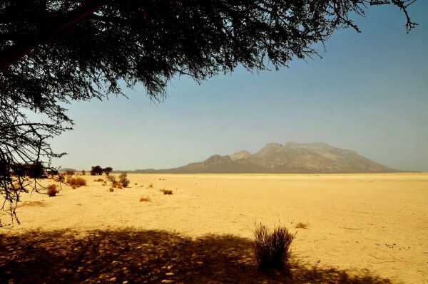 Пустыня сахара - животные, растения, факты, климат и карта пустыни сахара