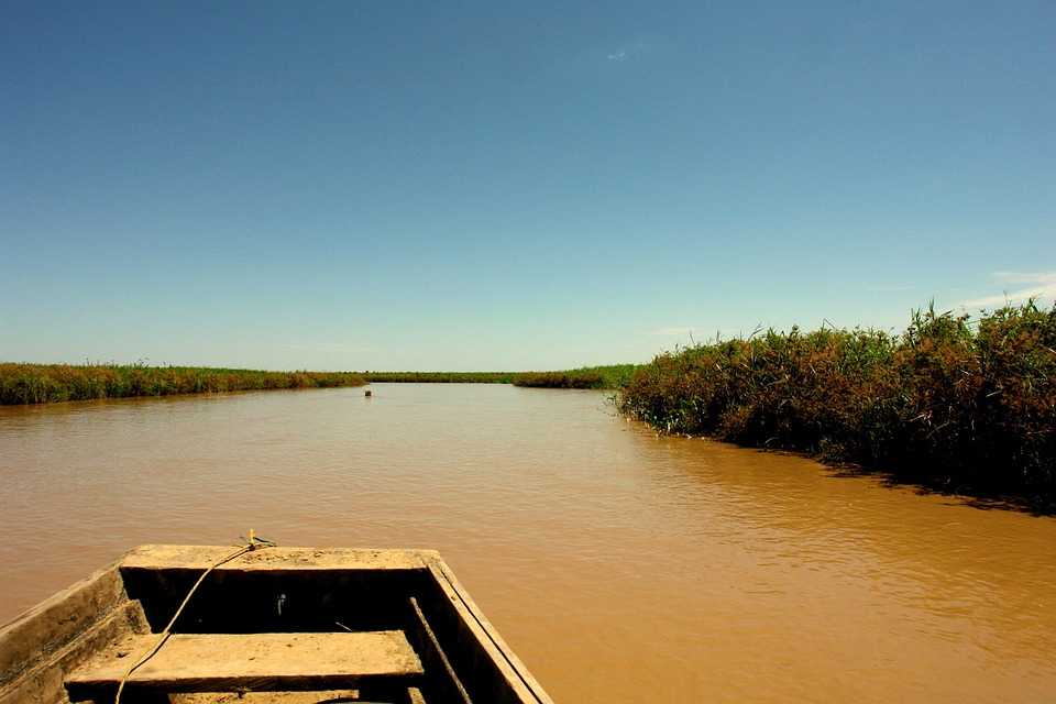 Самые интересные факты об опаснейшей реке на земле — амазонке — staff-online