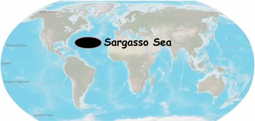 Где находится саргасово море — на карте океанов? чья территория?