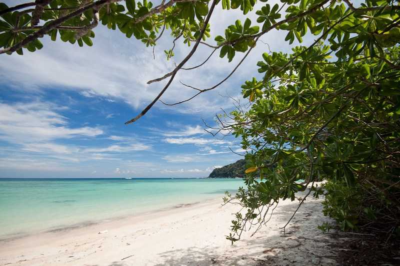 Остров борнео (калимантан) – фото, достопримечательности, экскурсии